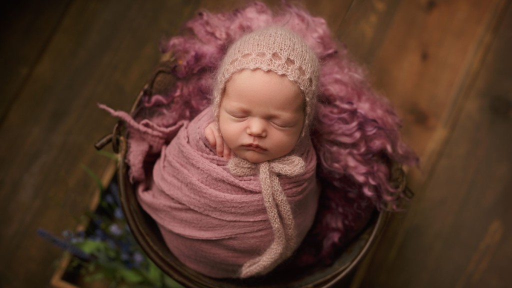 Swaddled baby girl in a lilac wrap posed in a bucket with a purple felted fur. Greenery adds to the whimsey of the image taken by Shelly Rosen, a San Diego newborn photographer.